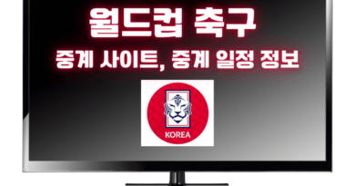 월드컵 축구 중계